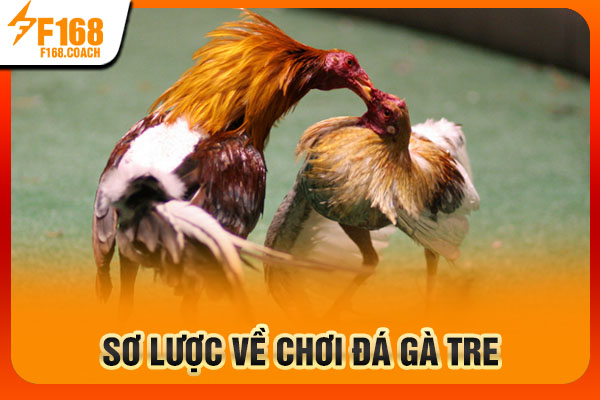 Sơ lược về chơi đá gà tre Sơ lược về chơi đá gà tre